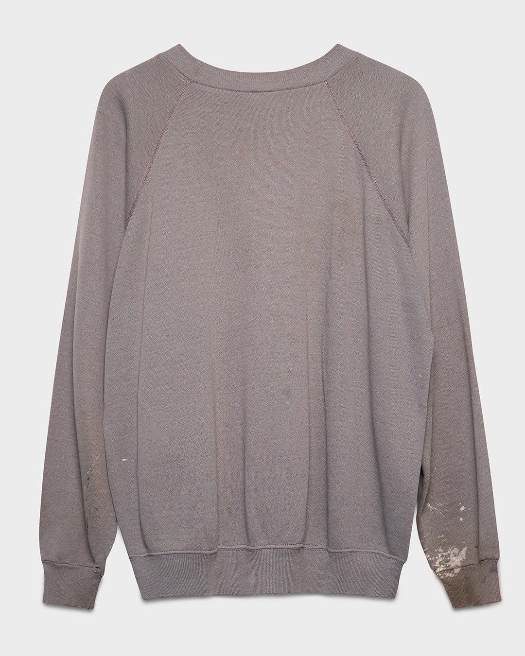 Penguin Party Animal Raglan